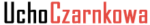 Ucho Czarnkowa